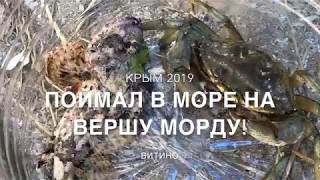 Крым 2019 / Морская рыбалка с берега в Витино на вершу морду / Поймал краба и рыбу ёрш
