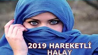 2019 HAREKETLİ HALAY