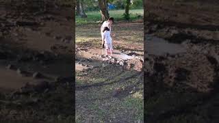 Loving buhay probinsya jumping in muddy puddles