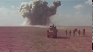BEST SHOCKWAVE COMPILATION | it will shake you.