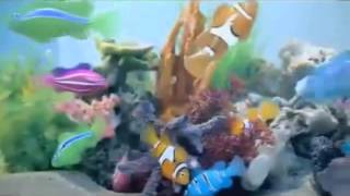 Робо рыбки Robofish