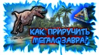 ARK: Survival Evolved! Как приручить Мегалозавра!