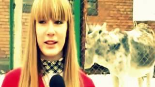 Жесть! Ведущие позорятся в прямом эфире! Смотреть всем! Жесть! Жесть ТВ ( Ютуб Новости  Жесть