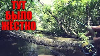 ЭКСТРЕМАЛЬНАЯ РЫБАЛКА В ДИКОЙ РЕЧКЕ...Тур Истории