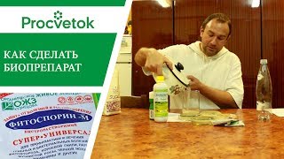 Обработка биофунгицидами от грибковых заболеваний. Биопрепараты. Результаты эксперимента.