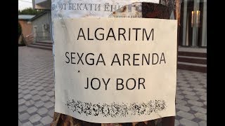 FOTO PRIKOLLAR #1 - SEXGA ARENDA JOY BOR KULMELA ?