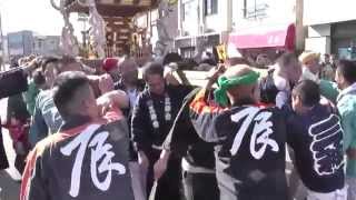 2015年　第60回　伊豆大島椿まつり江戸神輿渡御
