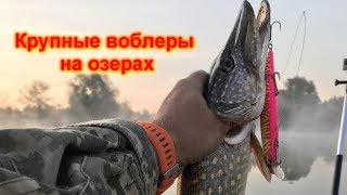 Твичинг. Щука на крупные воблеры.
