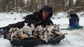 ОКУНЁВЫЙ ДЖЕКПОТ. Забудьте всё, что вы знали о рыбалке!