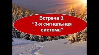 Занятия 3 Сигнальная Система