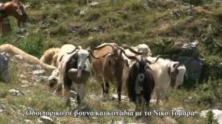 Οδοιπορικό σε βουνά και κοπάδια με τον Νίκο Τομαρά