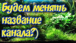 ПОЧЕМУ НАЗВАНИЕ КАНАЛА ДЯДЯ ВАСЯ РУЛИТ?!)