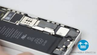 Замена аккумулятора iPhone 5c. Инструкция по замене батареи iPhone 5c.