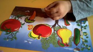 Учим овощи и фрукты, где они растут