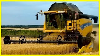 ► КОМБАИН уборка урожая пшеницы / Combine harvesting wheat Видео для детей