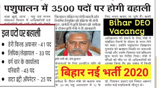 Bihar DEO New Recruitment 2020 I Accountant I Clerk I Office Attendant I Bihar Pashupalan wibhag Job