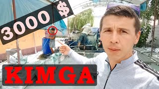 OYIGA 3000 $ PUL TOPISH MUMKUN