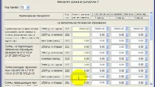 Как заполнить отчет в ПФР РСВ-1 .webm