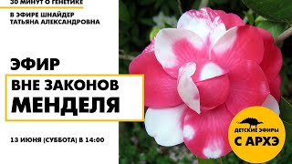 Детский эфир "Вне законов Менделя" в рамках рубрики "30 минут о генетике"