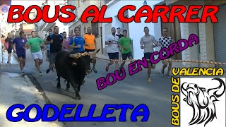 BOUS AL CARRER - GODELLETA (V) 2016 - TORO EN CUERDA - ARRANCA LA SEÑAL!!! 8-7-2016 - 1080 FULL HD