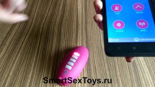 OHMIBOD Lightshow