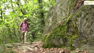 Wandern mit Genuss: von San Nazzaro zum Sass da Grüm
