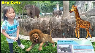 Belajar Mengenal Binatang ? Pengalaman Pertama Ara Main Ke Kebun Binatang Ragunan Jakarta