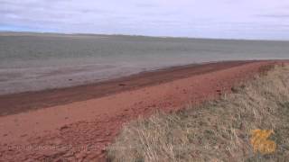 Смотреть Виза На Кипр Для Россиян - Кипр Нужна Ли Виза Россиянам