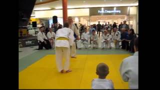 Real Aikido Demonstration Slovenia [Full]