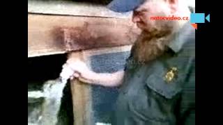 Srneček v Mini ZOO Hradčany -Ralsko