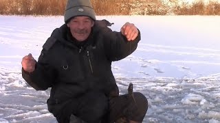 Пос. Васильево. Открытие рыбалки на ротана  29. 11. 2015