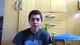 como amansar um periquito australiano (Dicas)