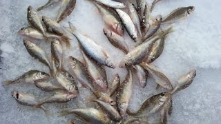 камера для подледной (подводной) рыбалки своими руками.