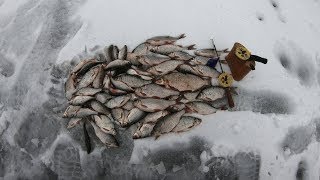 Рыбалка зимняя,чёртик и мухи!Белоярское водохранилище, клёв ОТЛИЧНЫЙ!!