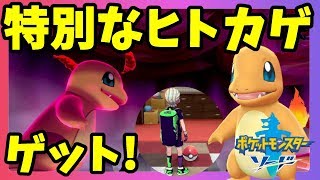 【ポケモンソードシールド】クリア後にもらえる！特別なヒトカゲ！