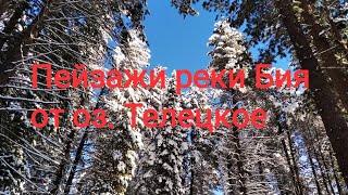 Горный Алтай. Река Бия. Телецкое озеро. Зимние пейзажи.