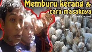 cara mencari kerang dan proses masak kerang