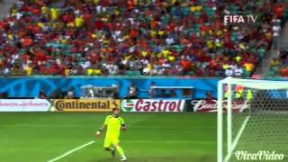 Robin Van Persie 's (RVP) Goal . vs Spain