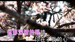 阿尔斯楞的眼睛 - 乌兰托娅 Eyes of Arlslum - Wulan Tuoya