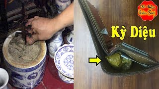 Mùng 1 Tết Lấy Một Ít Tro Từ Bát Hương Cho Vào Ví 3 Ngày Sau Điều Bất Ngờ Này Sảy Ra, Phú Quý Giàu