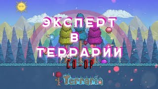 Эксперт в террарии! Продолжаем прохождение! [Стрим по Terraria #2]