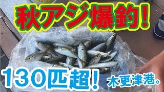 アジ サビキ 釣り 木更津港 海釣り 動画 つり サビキ釣り アジのなめろう 仕掛け 営業S