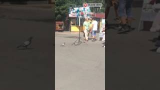 Драка аниматоров в парке им. 30 лет ВЛКСМ - Омск (23.06.2017)