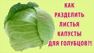Как снять листья с капусты для голубцов быстро и легко  за 5 минут (видео рецепт). Готовим дома.