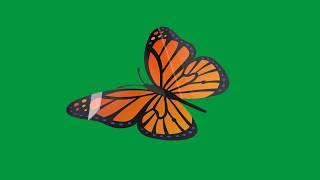 mentahan green screen animasi kartun HD Hewan / animal