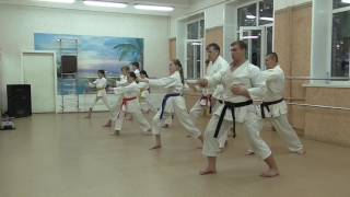 Техника Гяку  дзуки Gyaky tsuki (Подробная техническая разборка)