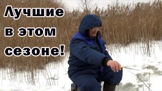 Самые уловистые безмотылки 2020! + отчёт о рыбалке на безмотылки и жерлицы