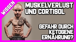 RE: ?Ketogene Ernährung und Nebenniere, Cortisol, 〽 T3 Hormone und Muskelverlust