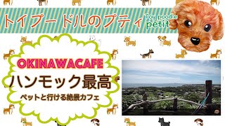 沖縄で人気の絶景カフェ亜熱帯茶屋アネッタイチャヤにトイプーと行ってきました！オーシャンビューはもちろんハンモックでブーラブラ