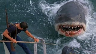 TOP 10 PECES MÁS TEMIDOS DEL MUNDO